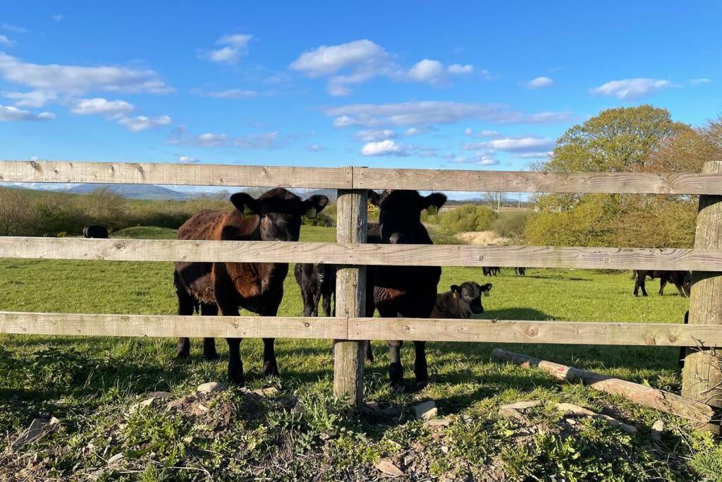 Galloway Farmstay Broughton نيوتن ستيوارت المظهر الخارجي الصورة