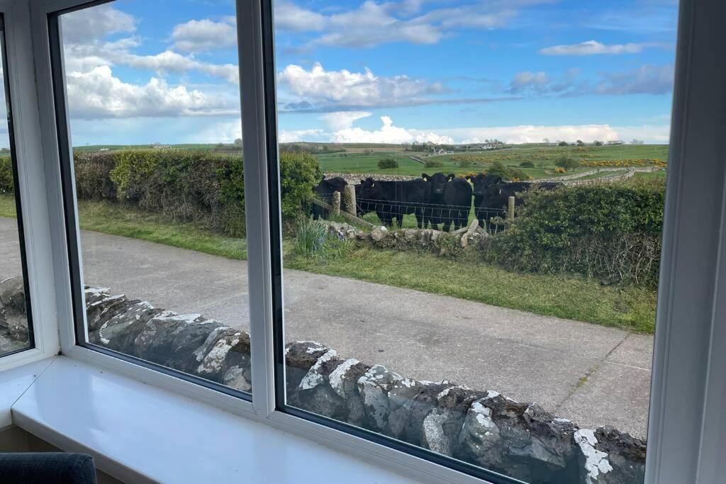 Galloway Farmstay Broughton نيوتن ستيوارت المظهر الخارجي الصورة